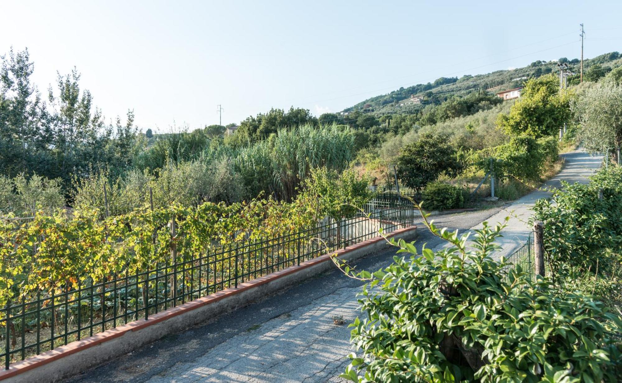 Fuga In Toscana ボルゴ・ア・ブッジャーノ エクステリア 写真