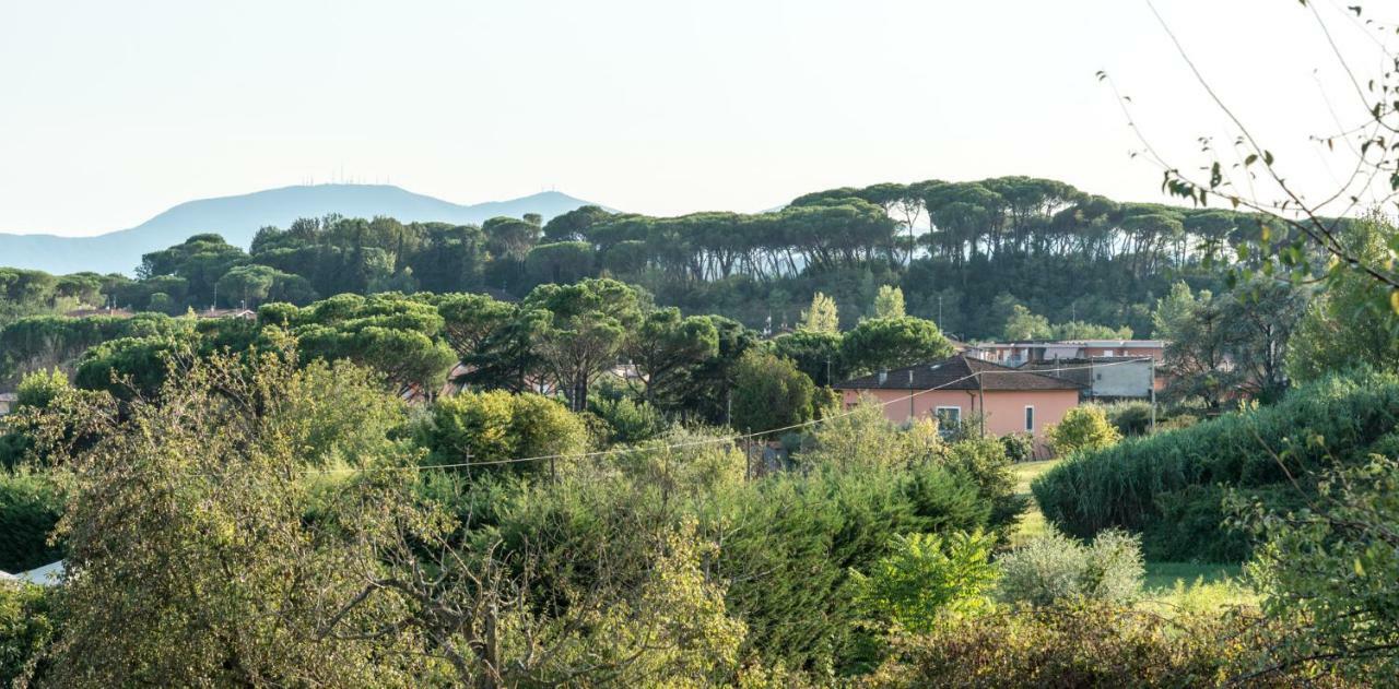 Fuga In Toscana ボルゴ・ア・ブッジャーノ エクステリア 写真